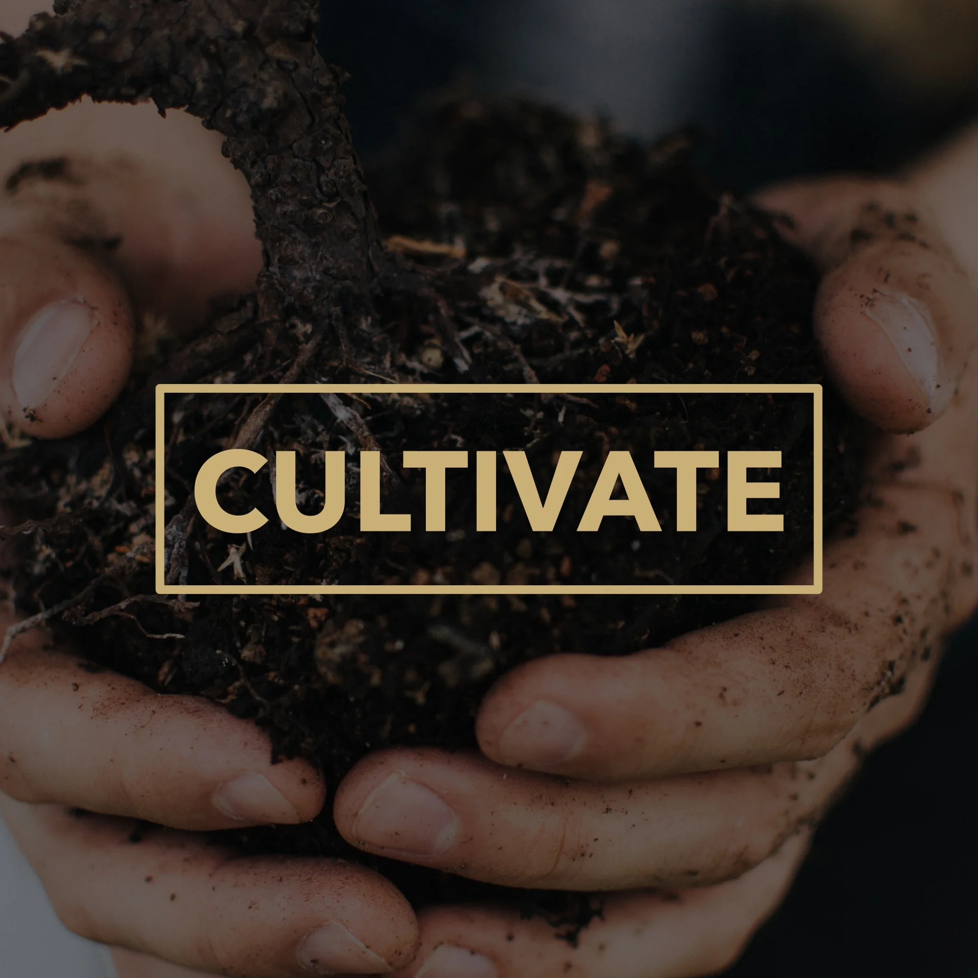 Cultivate_Square Title.jpeg