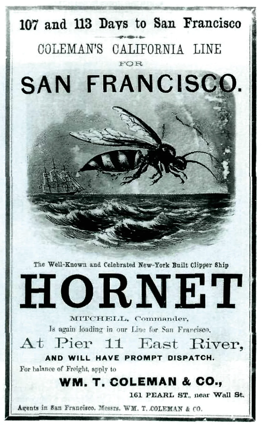 hornetposter.jpg