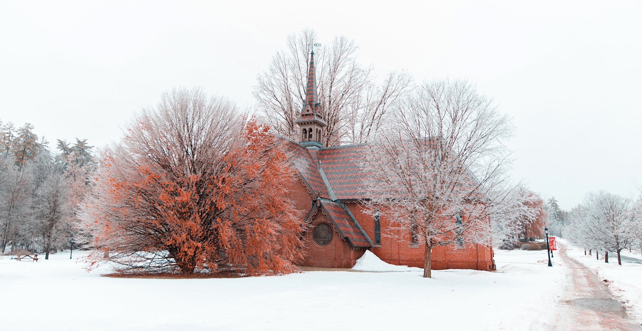 2018_Icey_SPS_DThomson-15.jpg