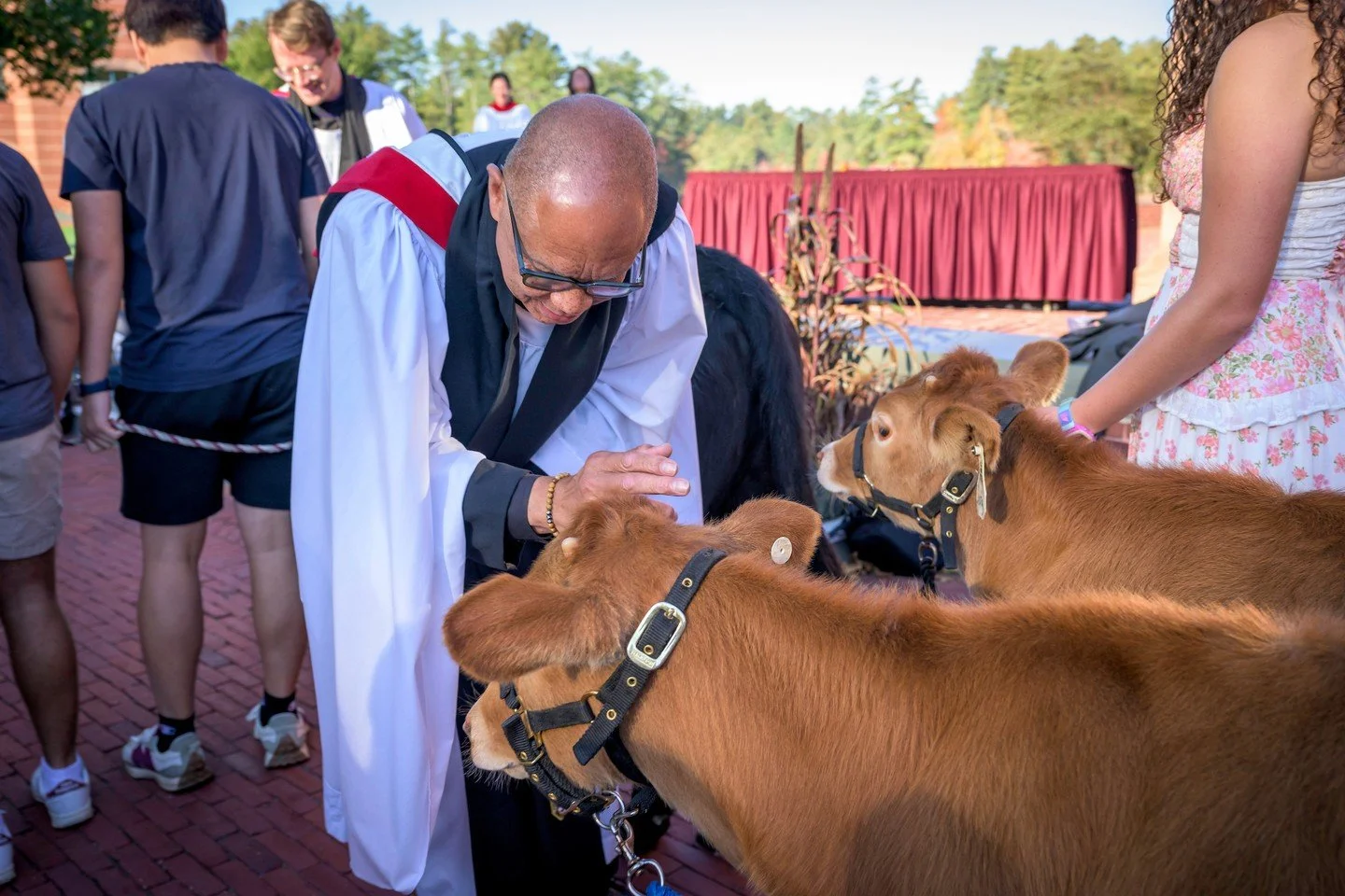 Cows, a cat, a few dogs and a few dozen stuffed animals made for quite the congregation on the Chapel Terrace this morning. 🐾🧸🐘

Students, faculty and their beloved pets gathered for our annual Blessing of the Animals in celebration of the feast o