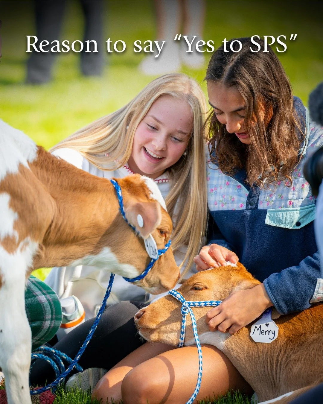 After the academic day is over, SPS comes alive with extracurricular activities that bring students together to explore their shared interests.

With more than 70 student-led clubs and societies &mdash; from long-standing groups like Horae Scholastic