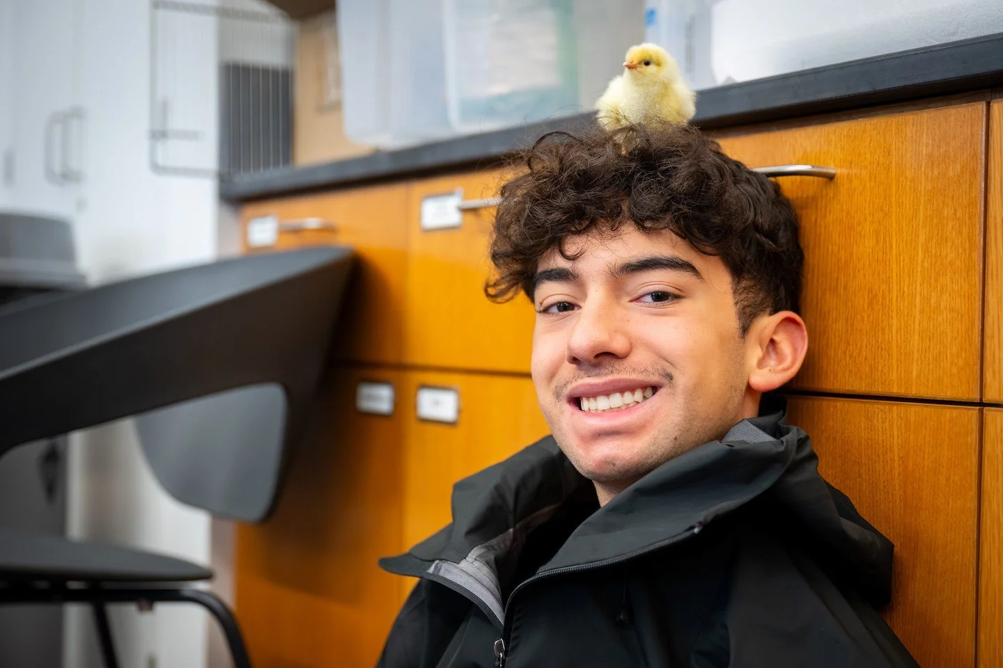 The newest members of our flock have arrived! 🐣

Spring Term in Science Teacher Allyson Bryant&rsquo;s Embryology class means chicks and ducklings are hatching in the classroom. In this science elective, students study comparative embryology and get