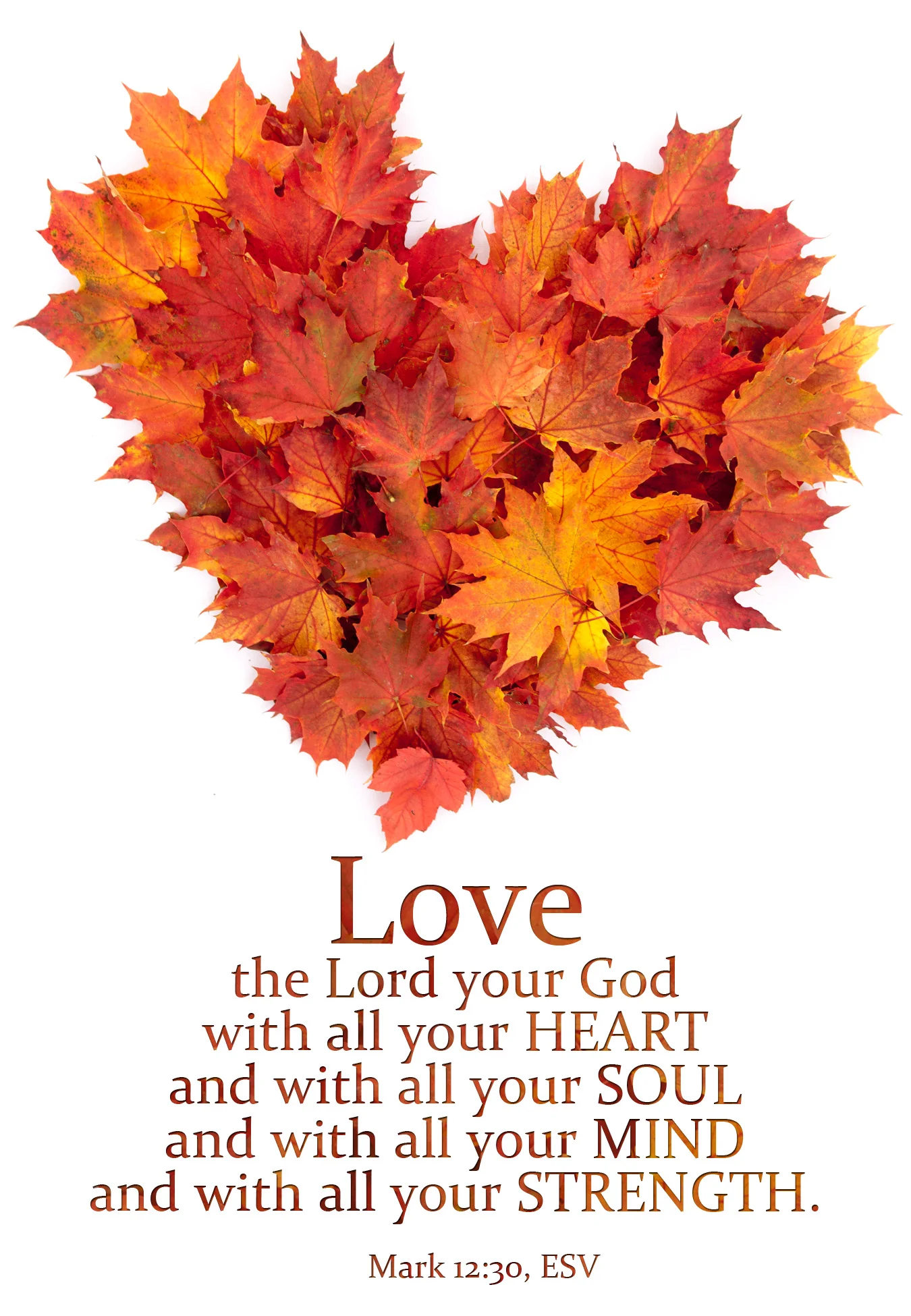 loveallheart.jpg