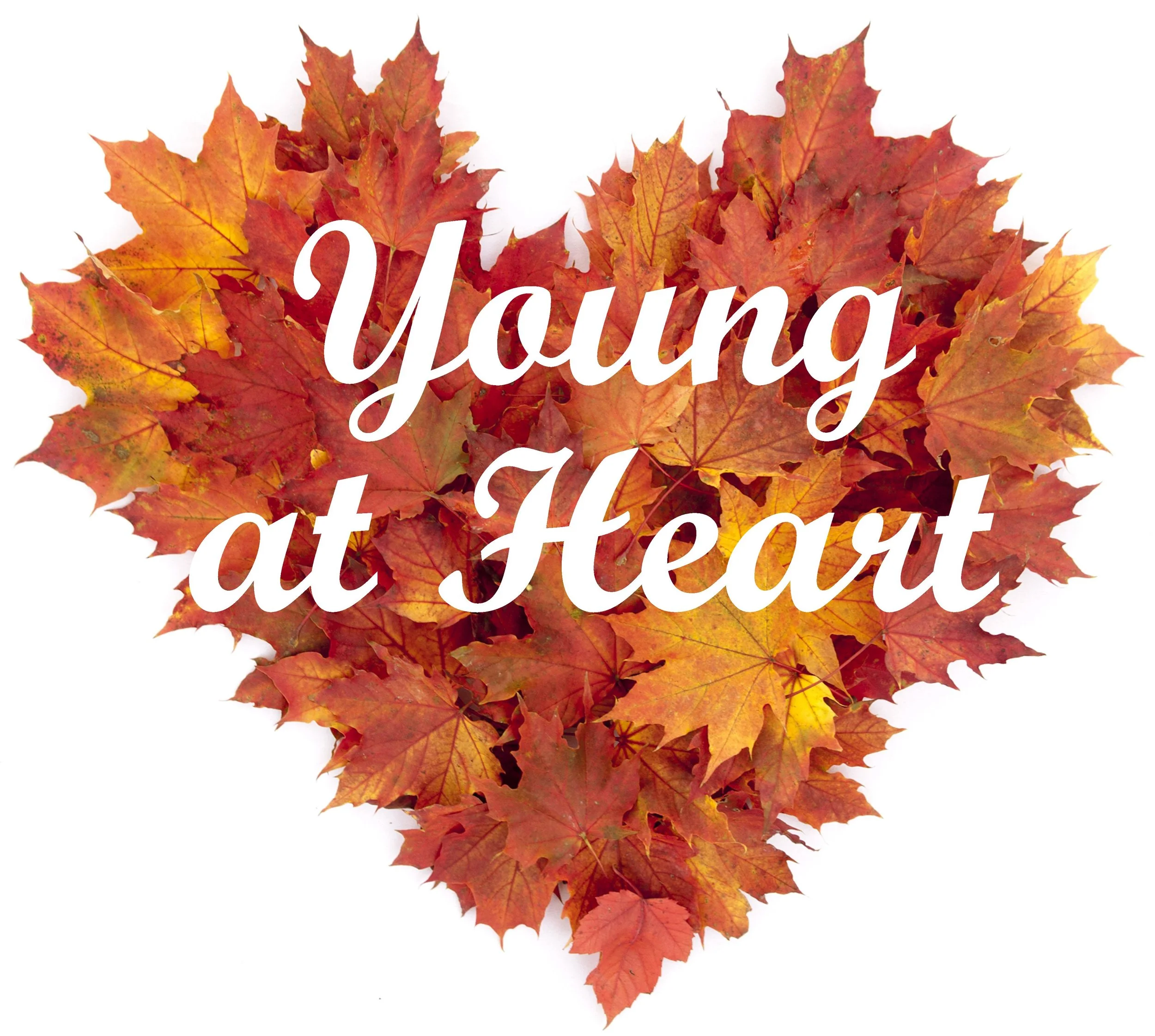 heart_16319ac.jpg