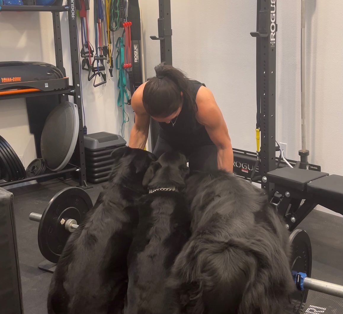 My training partners are always quite helpful 🖤🐾
*
#crossfit #crossfitlevel2trainer #cflevel2 #CFL2 #CFL2trainer #nasm #certifiedpersonaltrainer #correctiveexercisesp w we? ecialist #fitnessnutritionspecialist #functionaltraining #lupuswarrior #ris