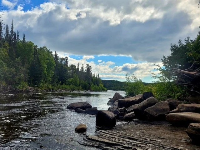 Moving from Fear to Love – Flow into New Life