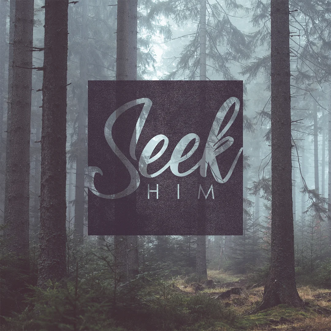 SeekHim.jpg