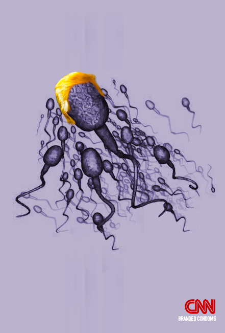 long image (purple).png