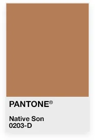 James Baldwin Pantone.jpg