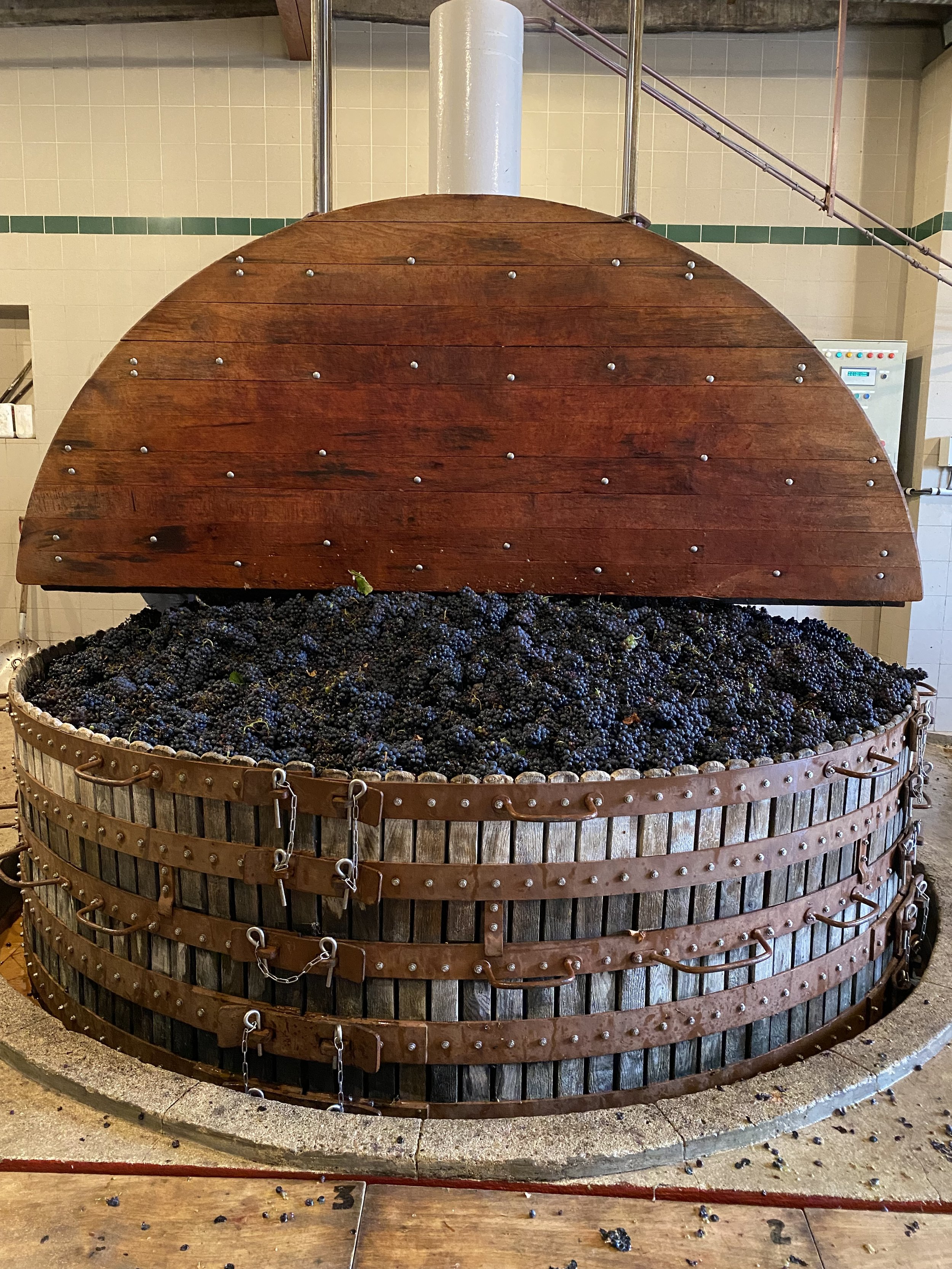 Champagnesmagning på Toldboden den 20 februar