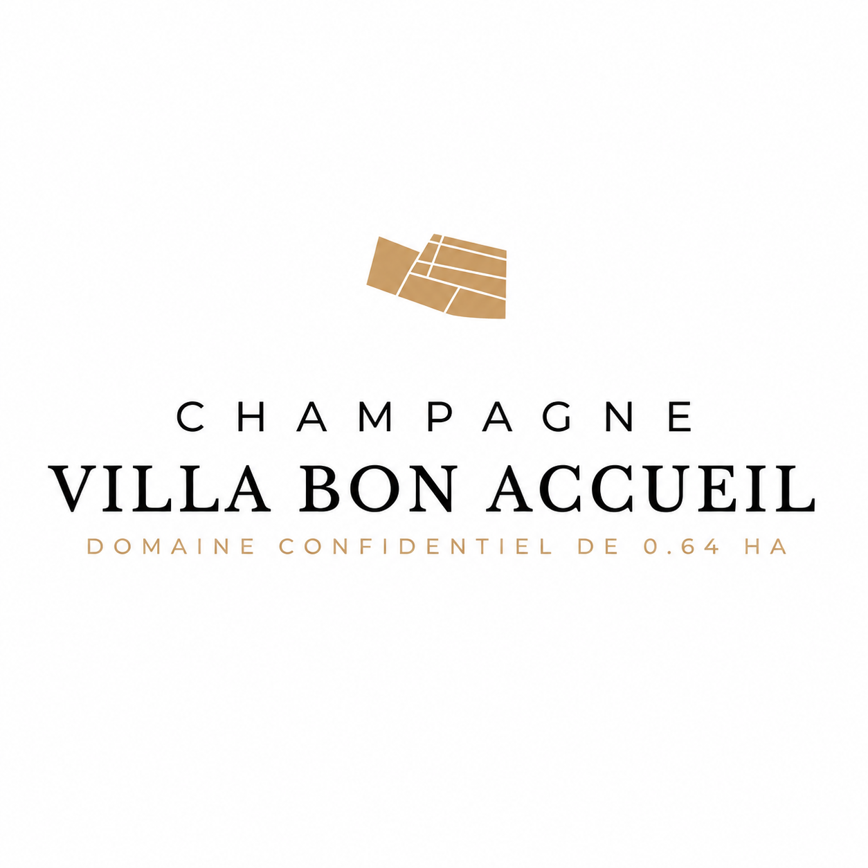 Champagne Villa Bon Accueil