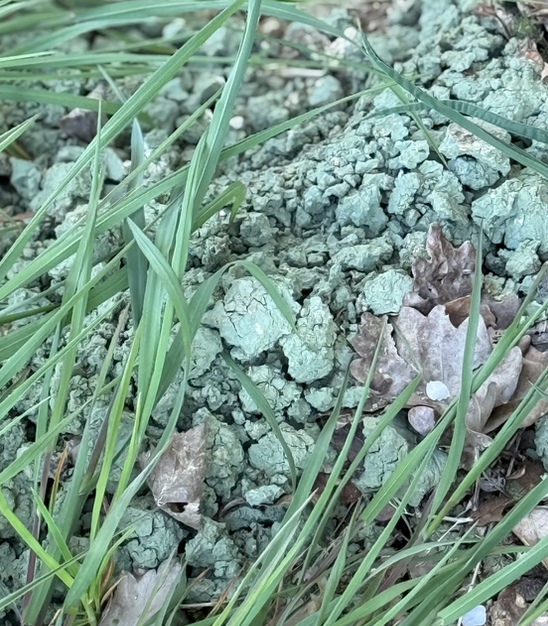 Skærmbillede 2026-02-23 kl. 12.43.12.png