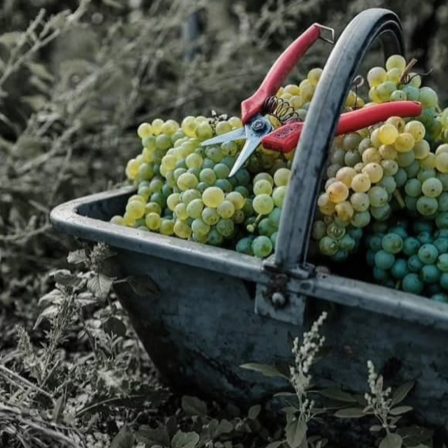 Skærmbillede 2025-10-26 kl. 23.16.33.png (Copy)