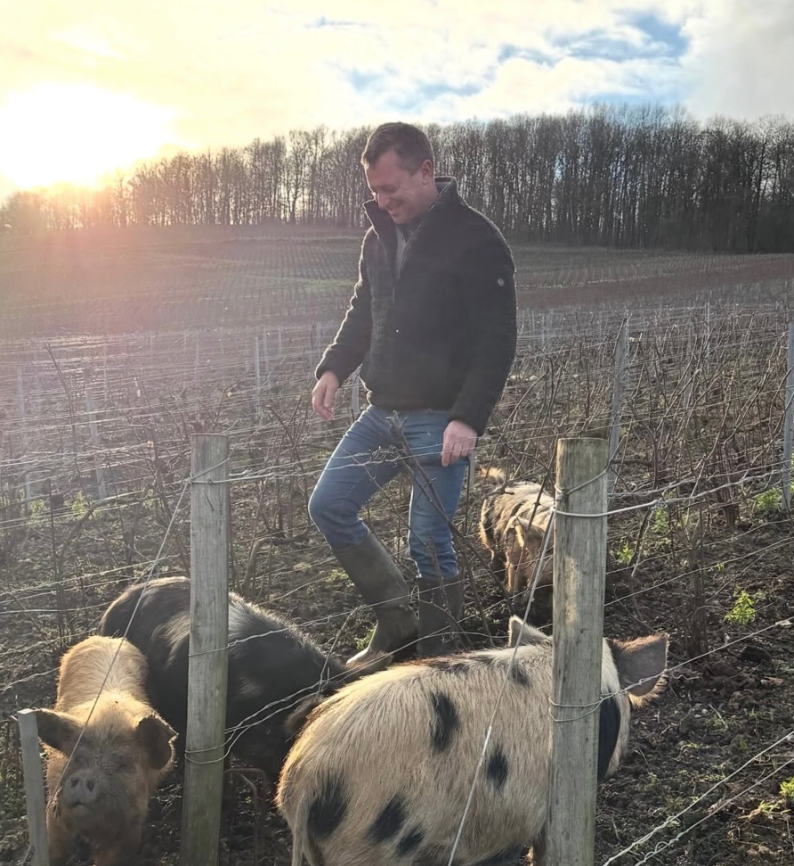 Skærmbillede 2026-02-23 kl. 12.40.28.png