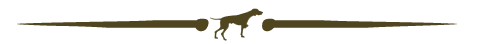 dog_page.png