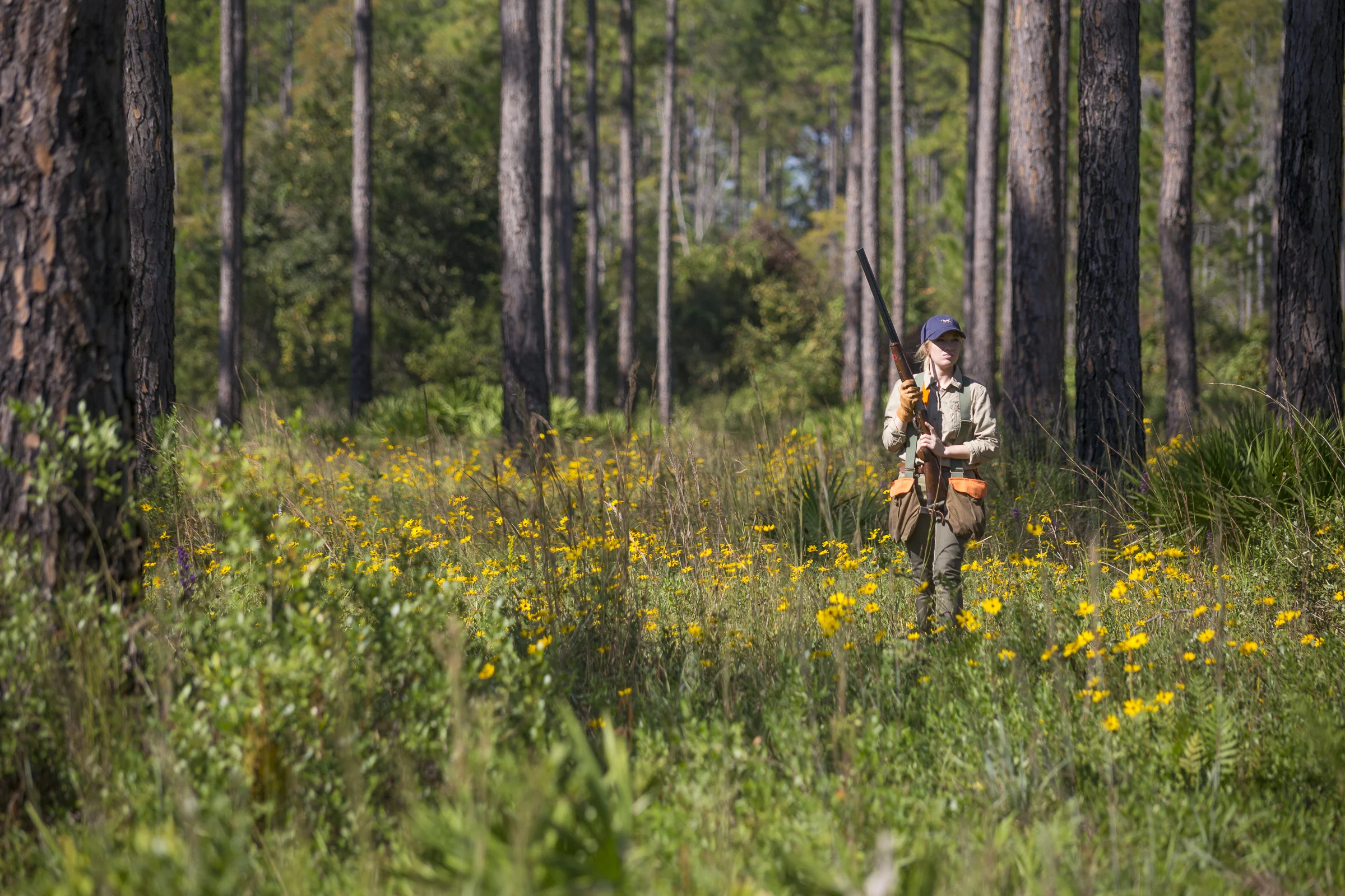 Quail Hunter.jpg