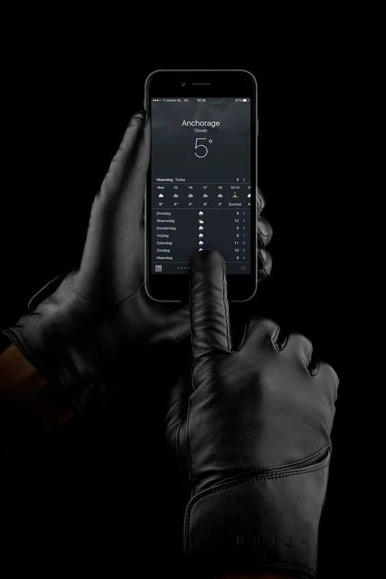 leather gloves.jpg