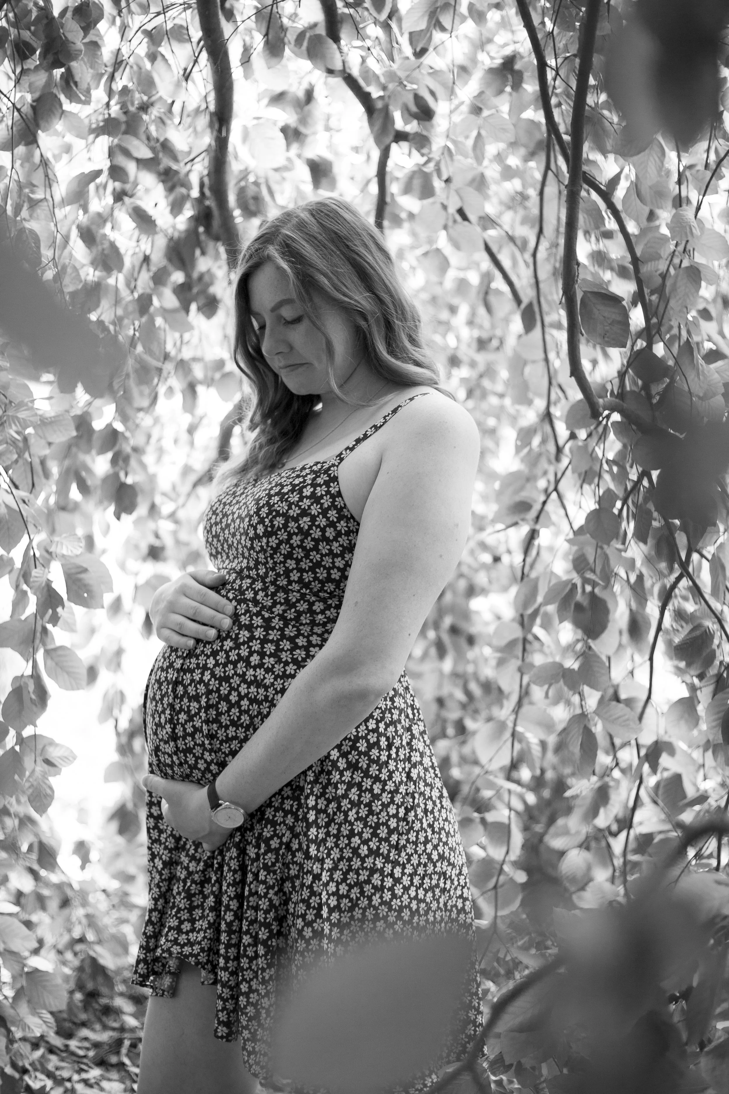 joswald_KaitlynMaternity2019-42.jpg