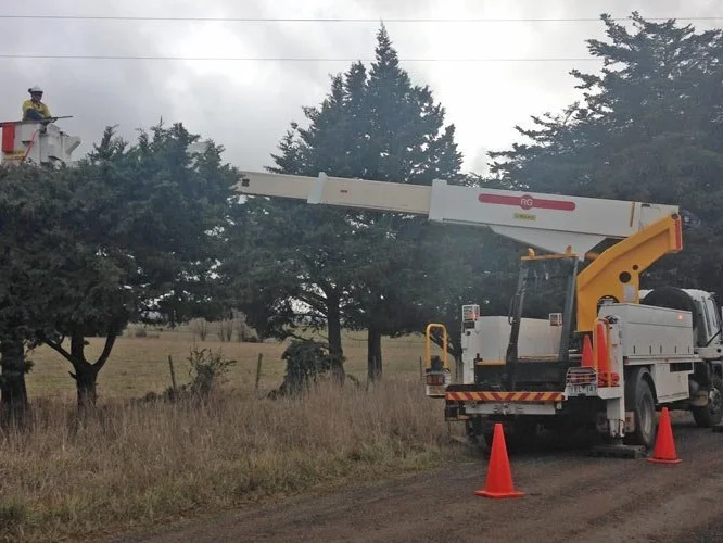 To minimise potential interruptions to power supply, maintain public safety, and prevent bushfires, all power lines must be vegetation-free. All tree technicians are fully trained, with training updated yearly, in best work and safety practices for working with power lines. Maintaining and conserving roadside vegetation has many benefits for wildlife such as food sources, structural habitats, and corridors as well as other environmental impacts as fire control and soil erosion. etc etc etc etc etc etc etc etc etc etc etc etc etc etc etc etc etc etc etc etc etc etc etc etc etc etc etc etc etc etc etc etc etc etc etc etc etc etc etc etc etc etc etc etc etc etc etc etc etc etc etc etc etc etc etc