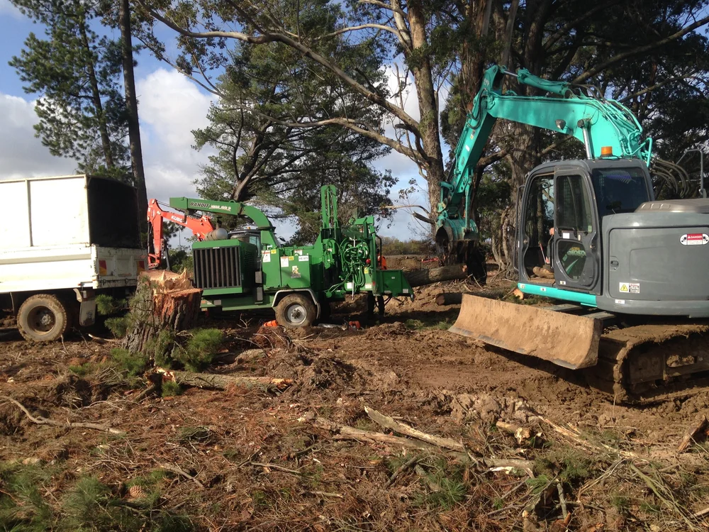 Tree Top Tower Hire crews, plant and completed work