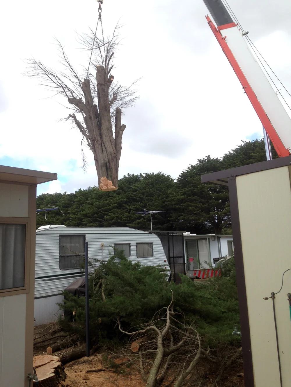 Tree Top Tower Hire crews, plant and completed work