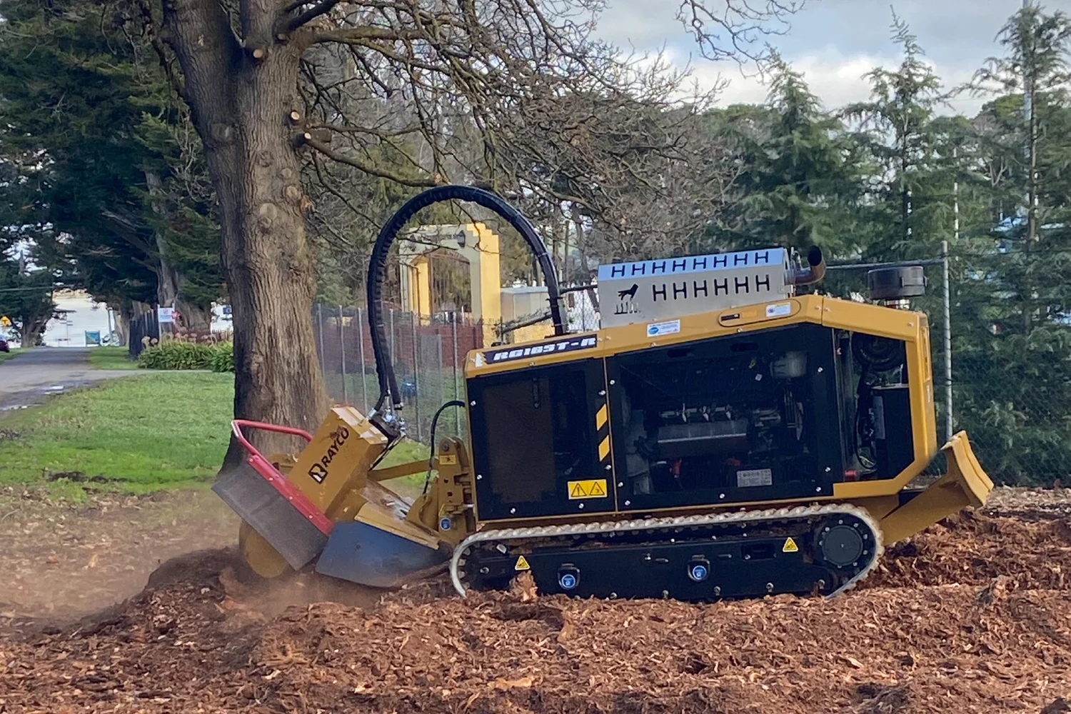 Stump removal