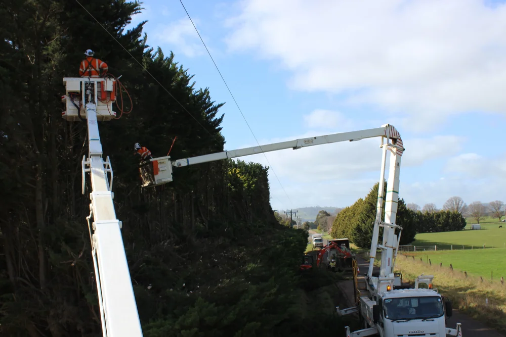 Power line clearance