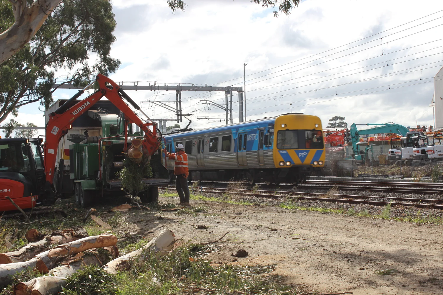 Rail vegetation clearance