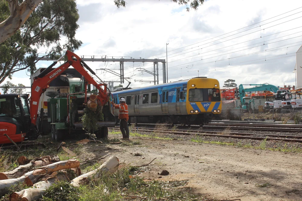 Rail vegetation clearance
