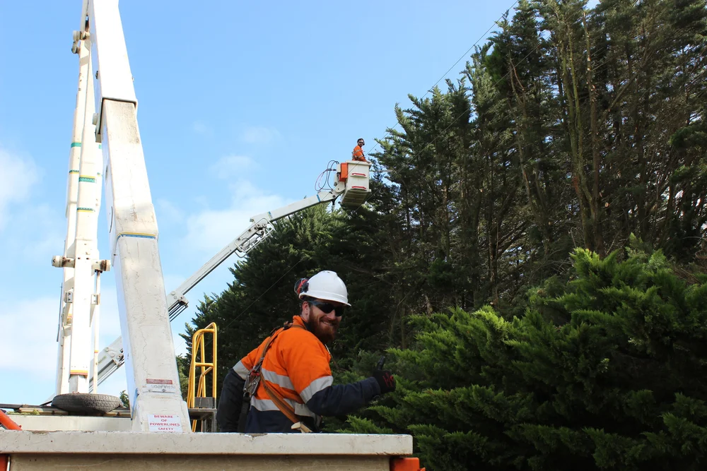 Tree Top Tower Hire crews, plant and completed work
