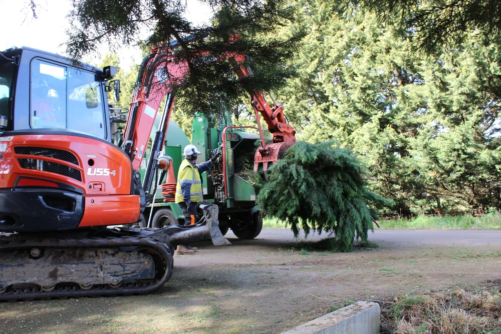 Tree Top Tower Hire crews, plant and completed work
