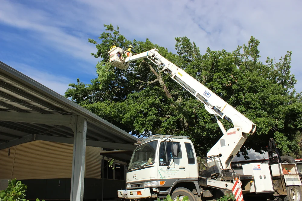 Tree Top Tower Hire crews, plant and completed work