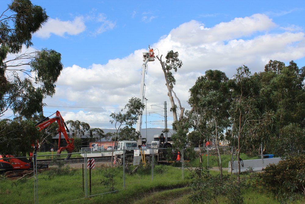 Tree Top Tower Hire crews, plant and completed work