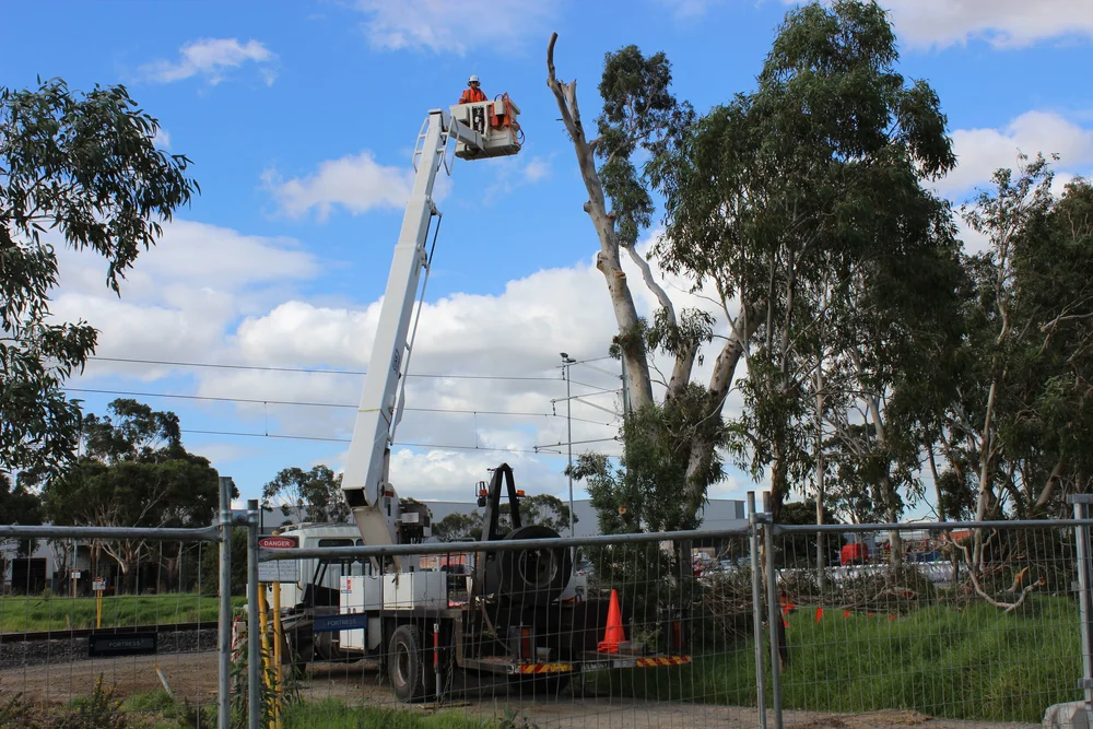 Tree Top Tower Hire crews, plant and completed work