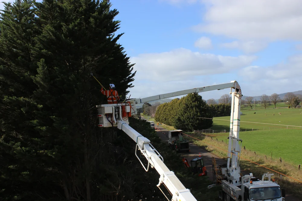 Tree Top Tower Hire crews at work
