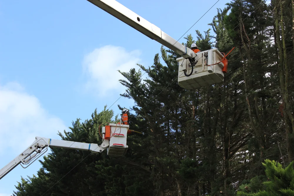 Tree Top Tower Hire crews, plant and completed work