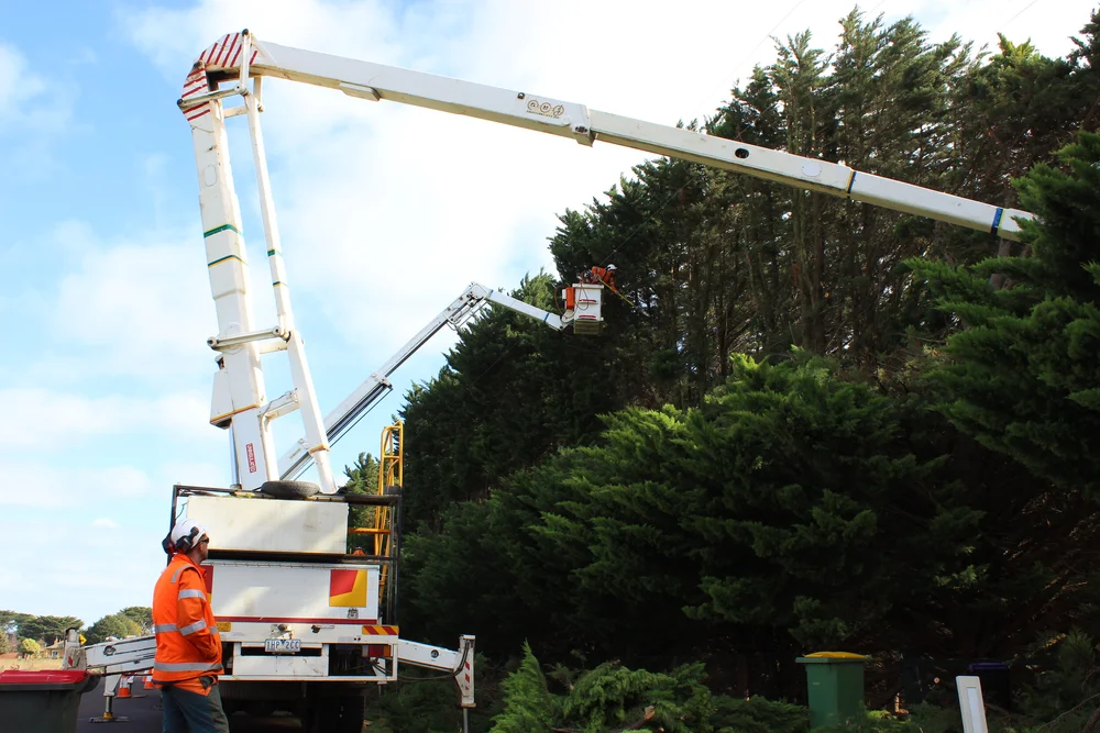 Tree Top Tower Hire crews, plant and completed work