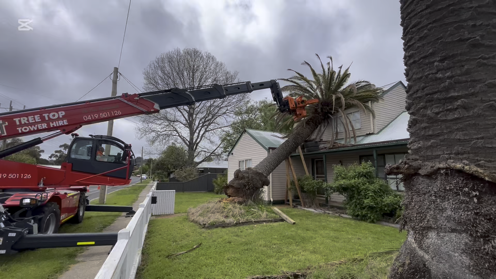 Tree Top Tower Hire crews, plant and completed work