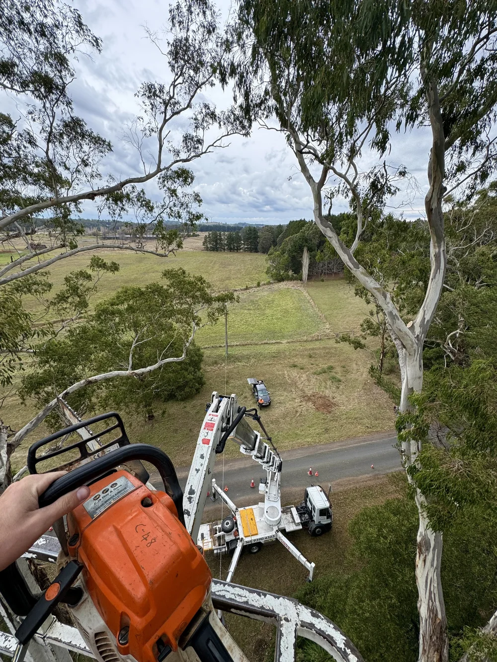 Tree Top Tower Hire plant and equipment