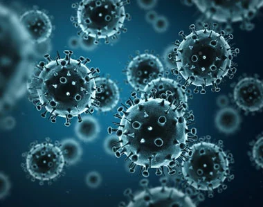 virus.jpg