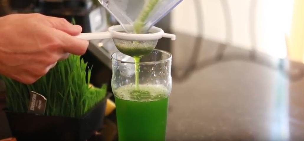 Do it yourself “Wheatgrass”