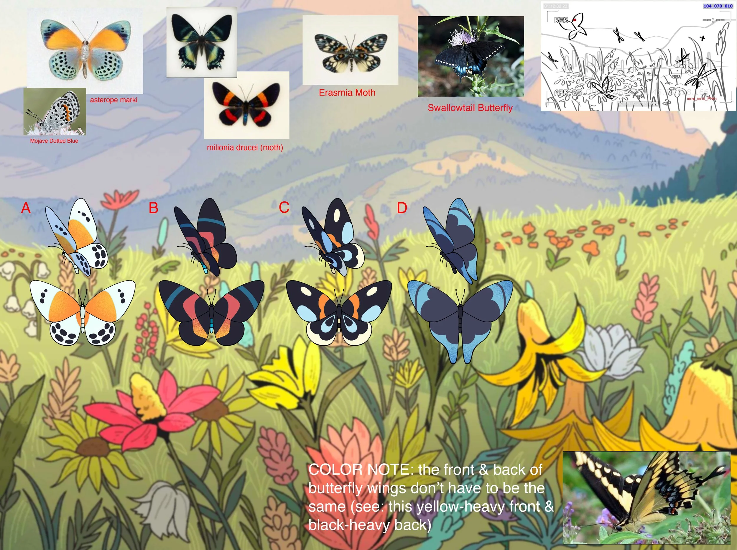 CAR_104_070_010_Butterflies_Default_CLR_v003_AH.jpg