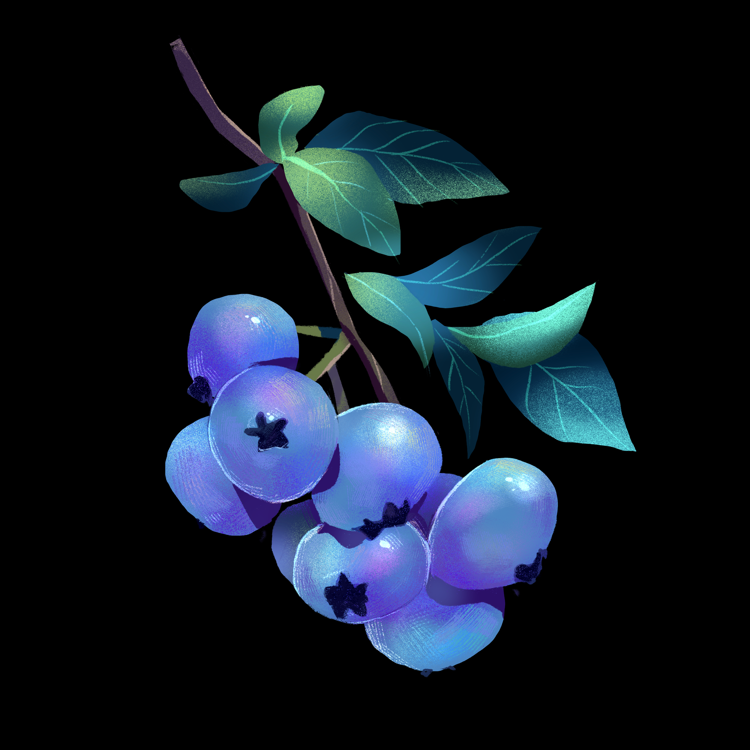 Untitled_Artwork 57.png