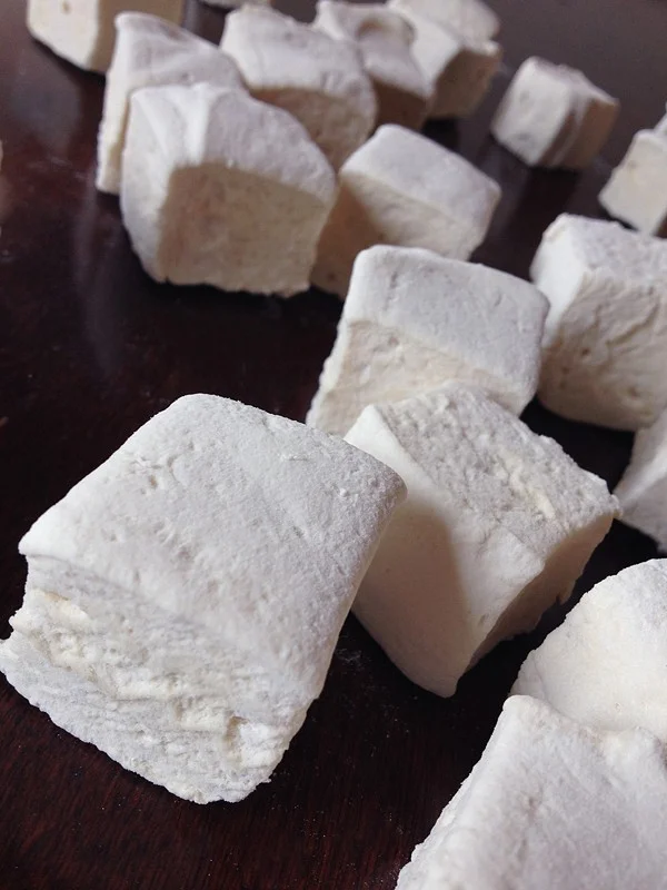 PaleoMarshmallows.jpg