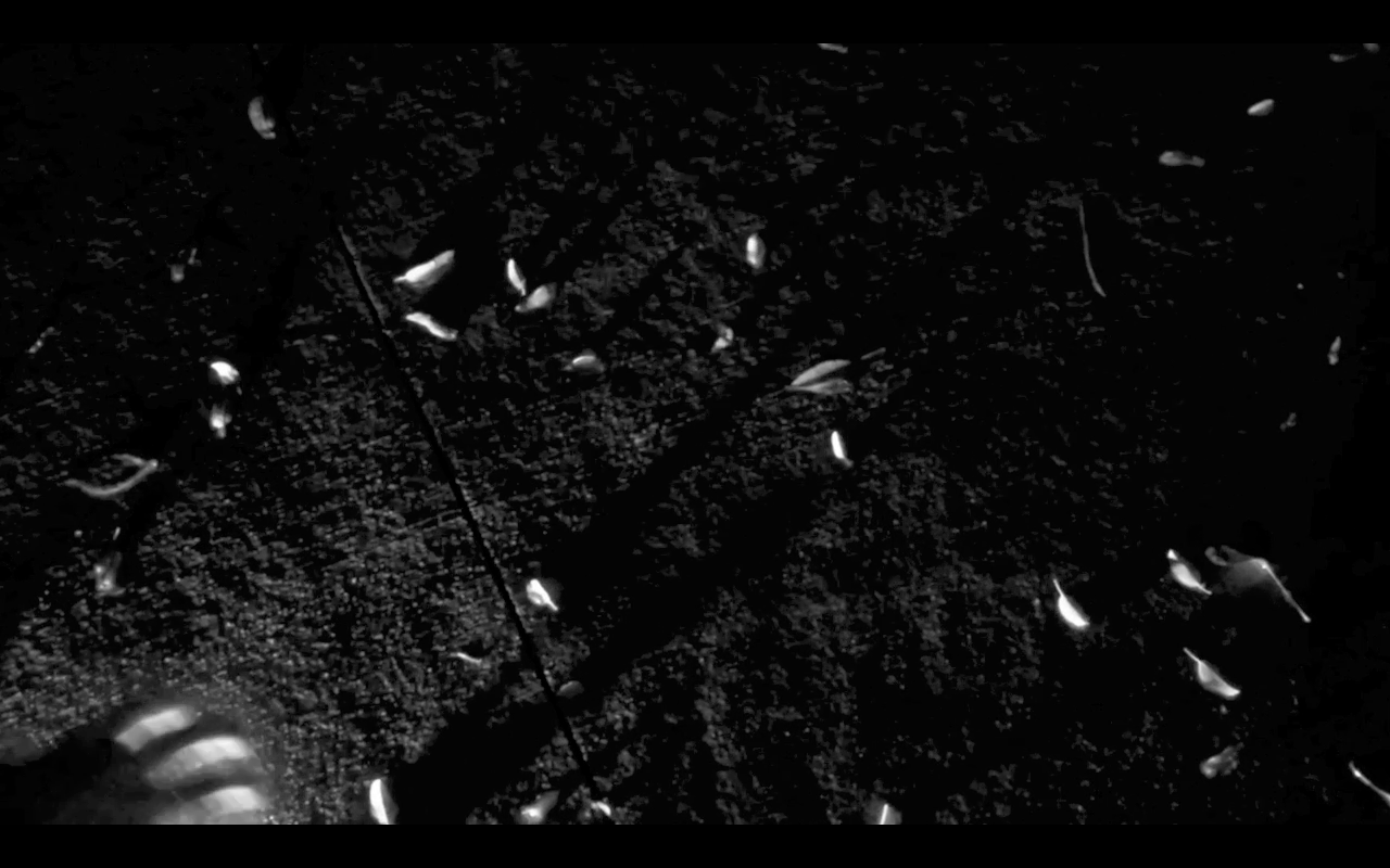 Untitled1.gif