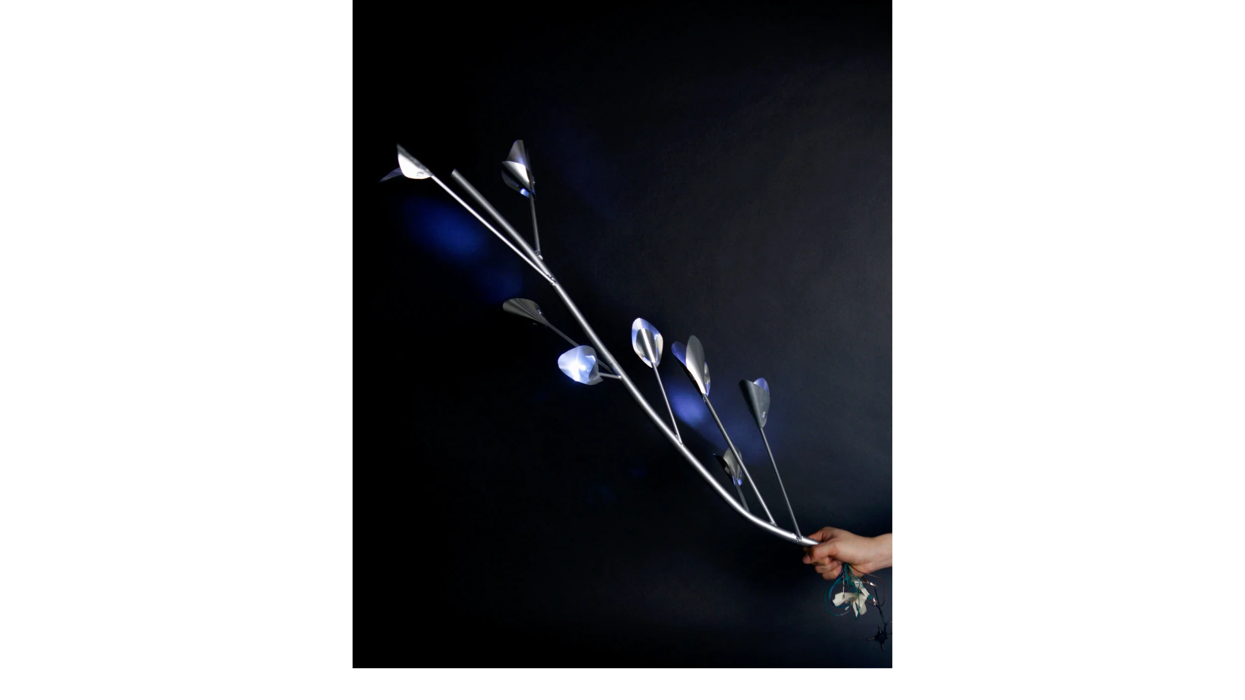 through the leaves_portfolio_phd_application.jpg