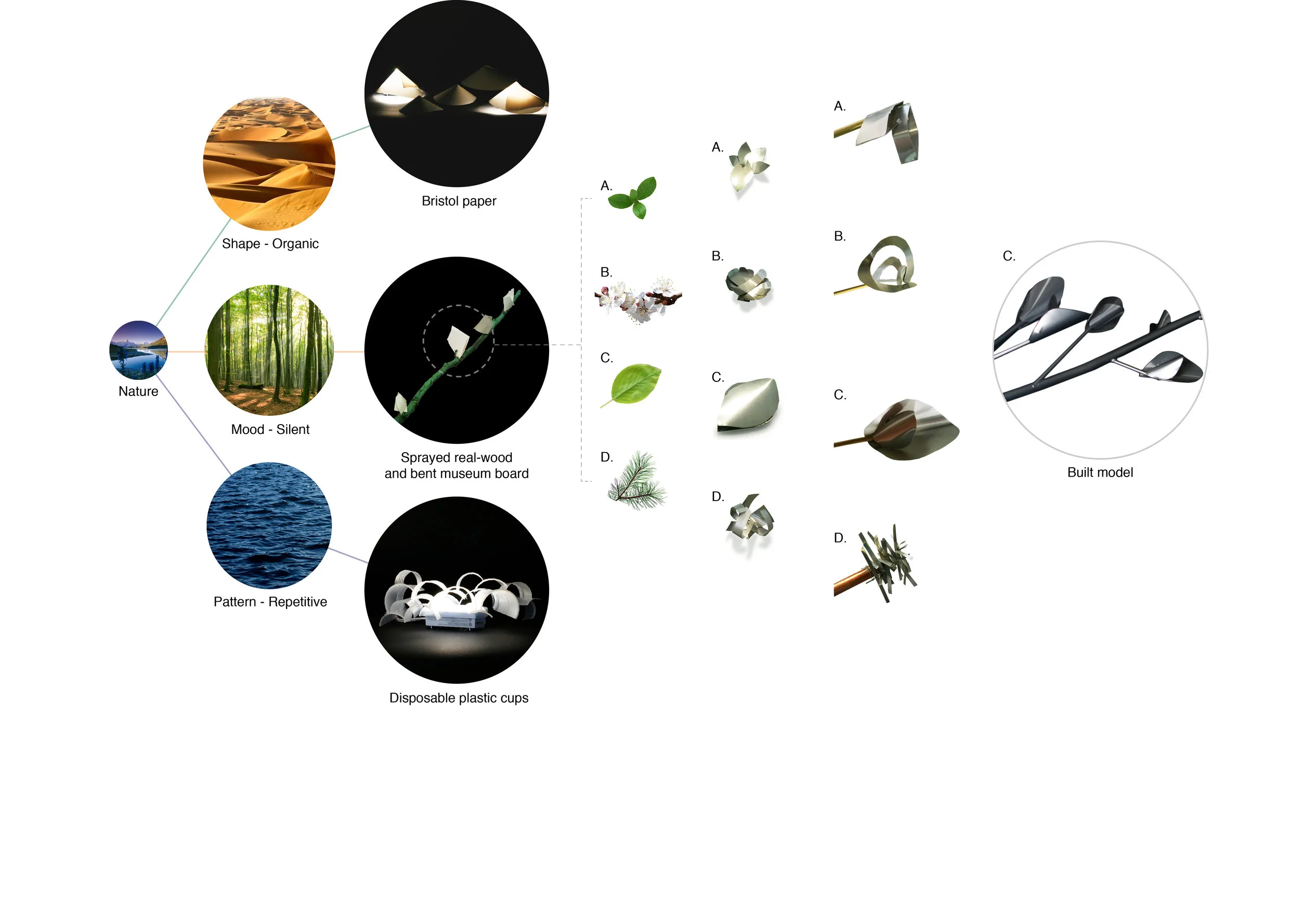 through the leaves_portfolio_phd_application4.jpg