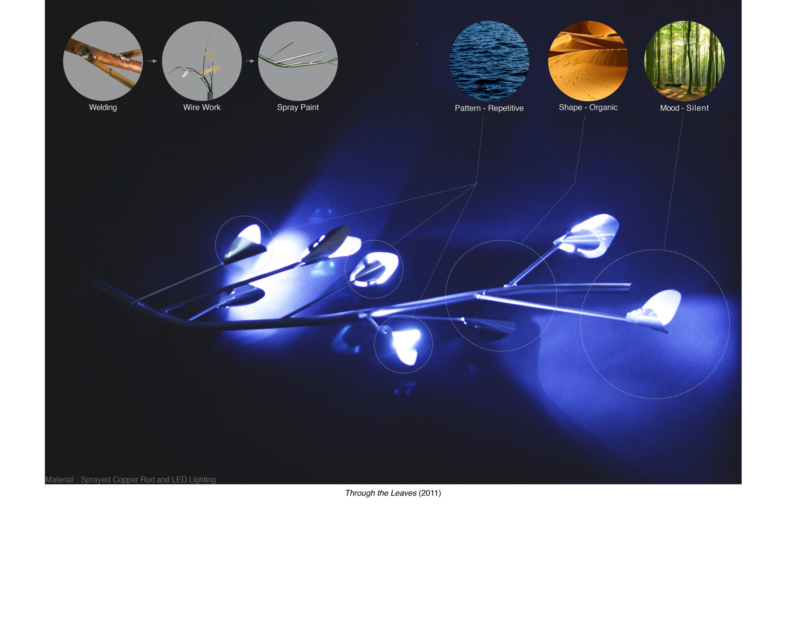 through the leaves_portfolio_phd_application6.jpg