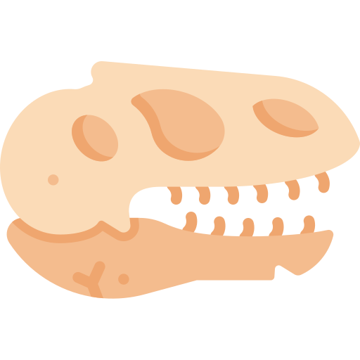 化石.png