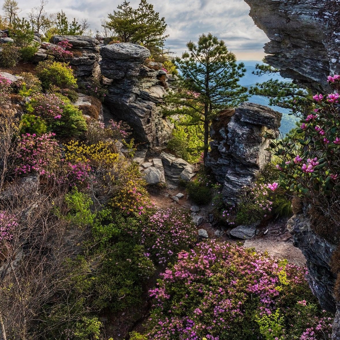 It&rsquo;s the weeeeekend! YAY! Photo of Linville Gorge by @wildwoodblessing
